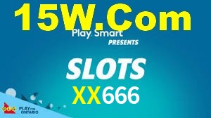 Premium Interface XX666